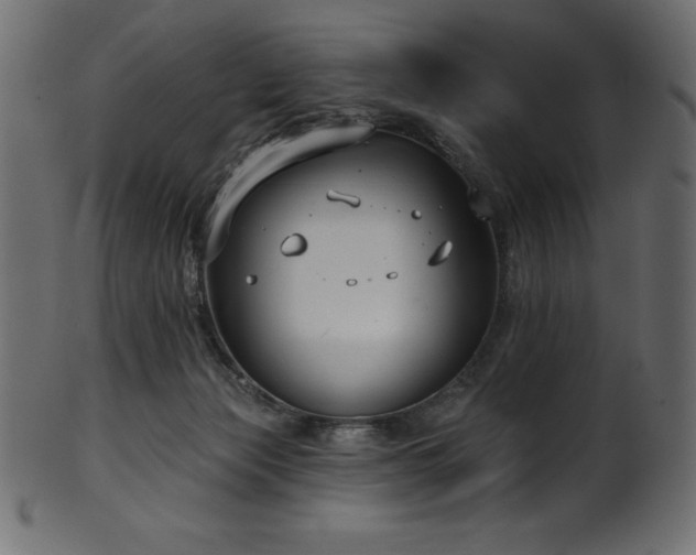 X0000102040173200807181521