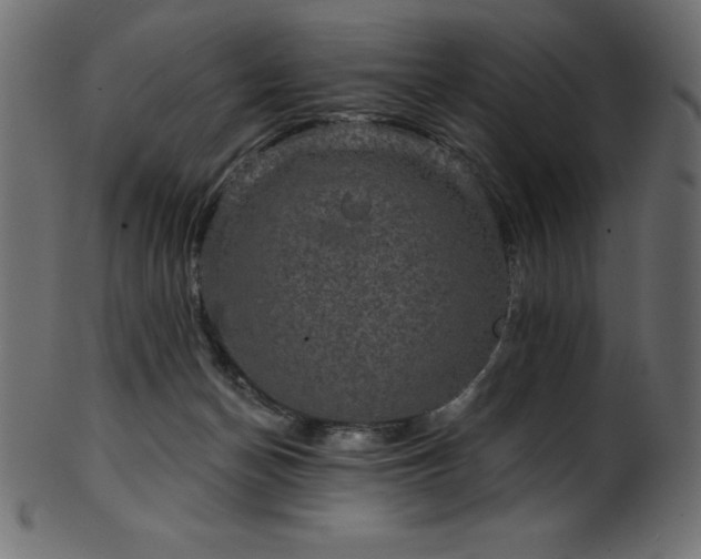 X0000102040174200807181521