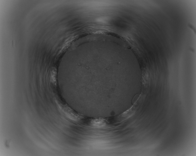 X0000102040175200807181521