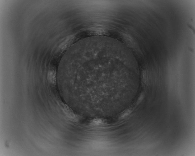 X0000102040177200807181521