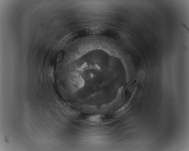 X0000102040178200807181521