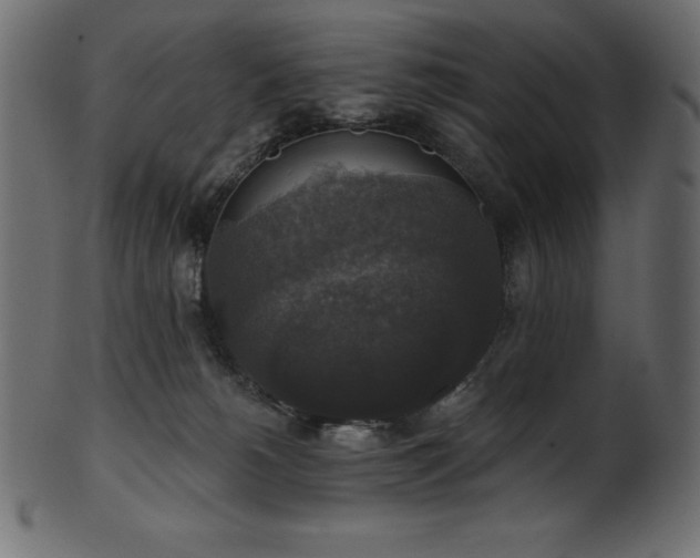 X0000102040180200807181521