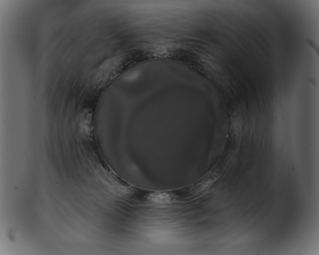 X0000102040181200807181521