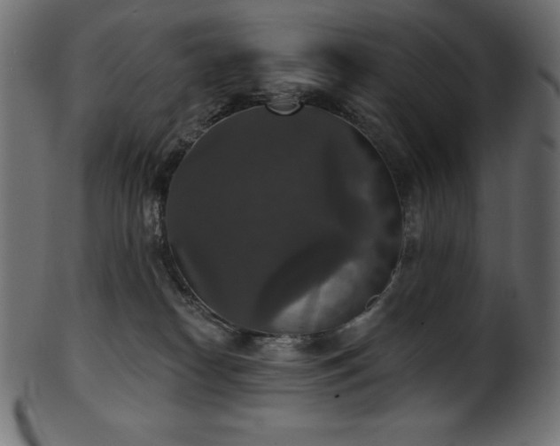 X0000102040182200807181521