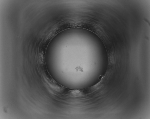 X0000102040183200807181521