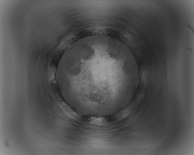 X0000102040185200807181521