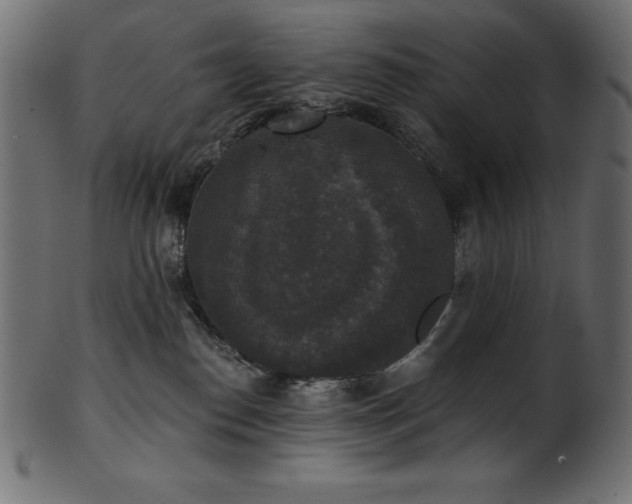 X0000102040186200807181521