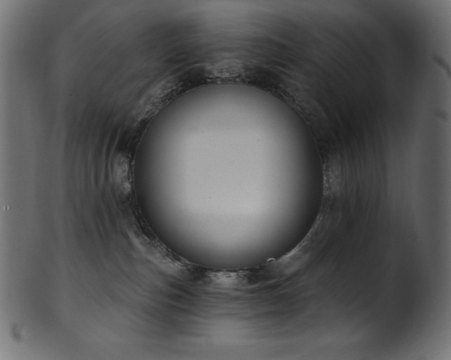 X0000102040187200807181521