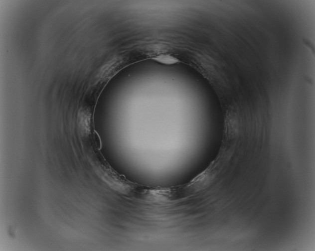 X0000102040188200807181521