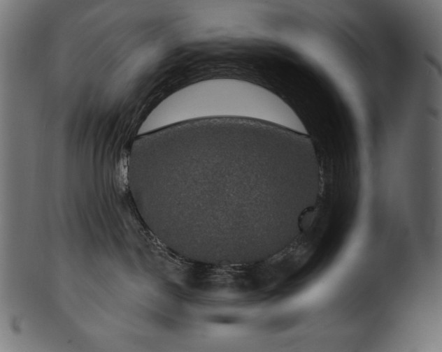 X0000102040190200807181521