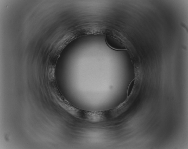 X0000102040191200807181521