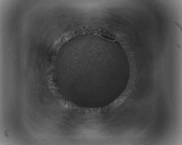 X0000102040192200807181521