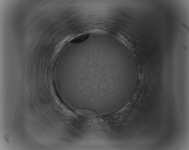 X0000102040193200807181520