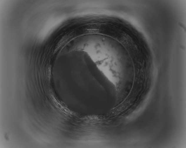 X0000102040194200807181520