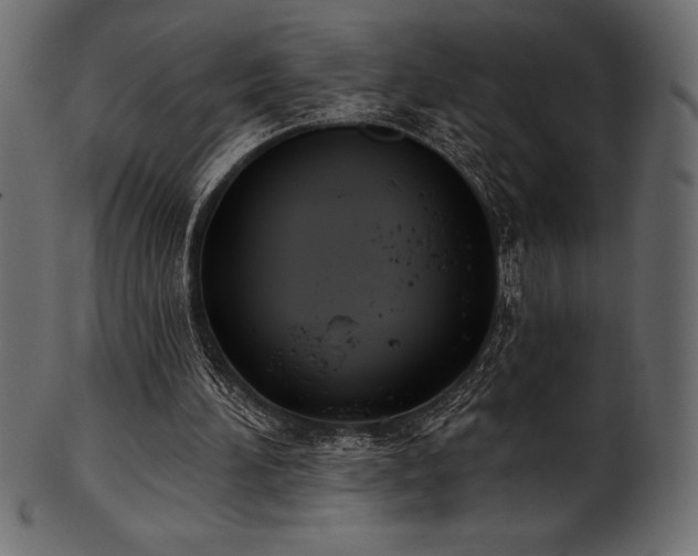 X0000102040196200807181520