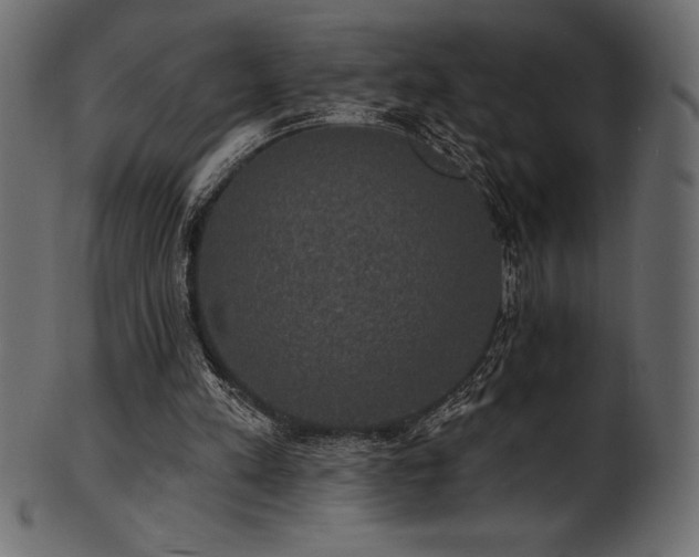 X0000102040197200807181520