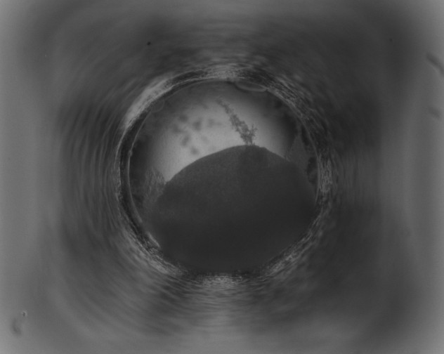 X0000102040198200807181520