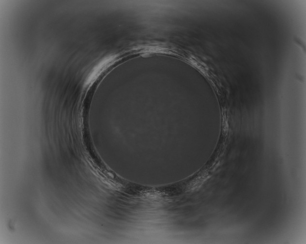 X0000102040199200807181520