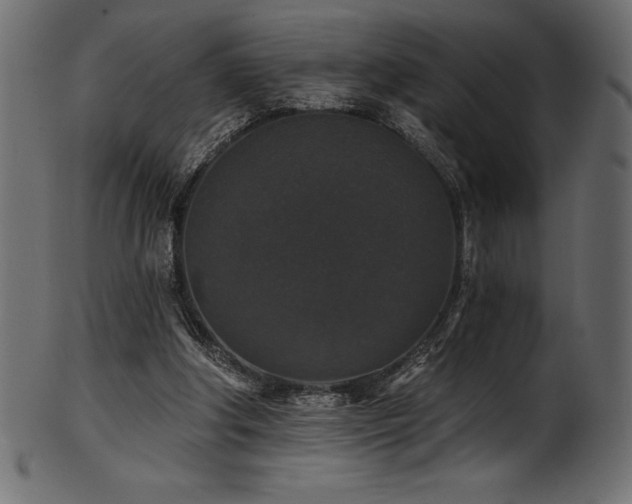 X0000102040202200807181520