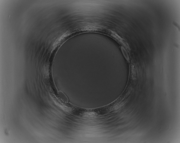 X0000102040203200807181520