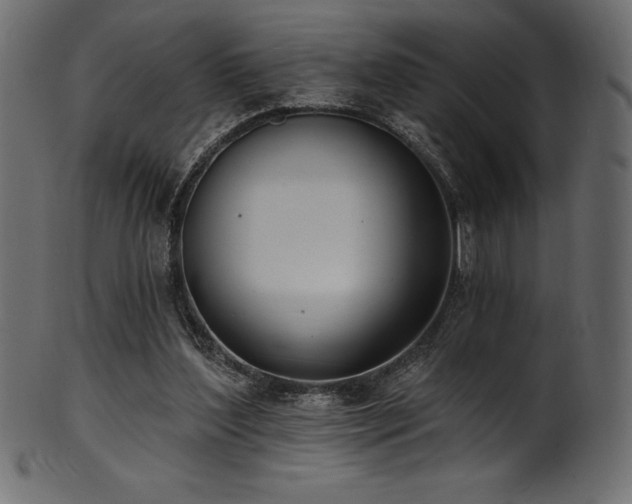 X0000102040204200807181520