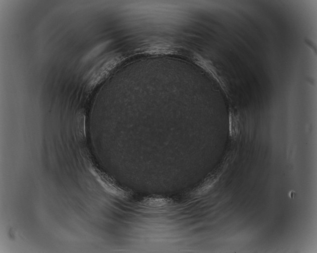 X0000102040205200807181520