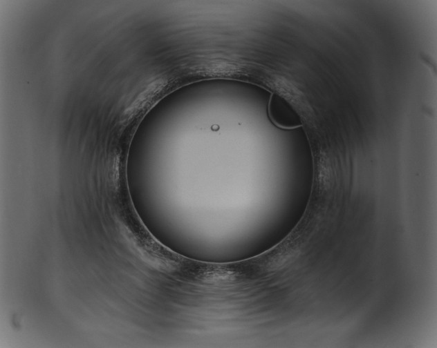 X0000102040206200807181520