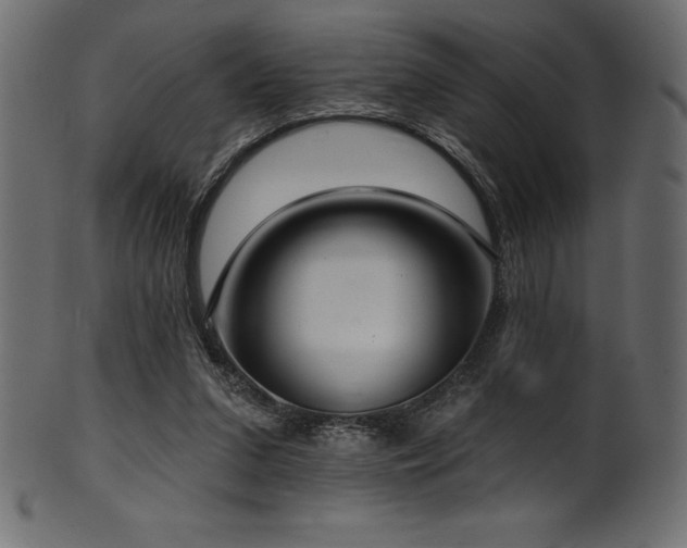 X0000102040207200807181520