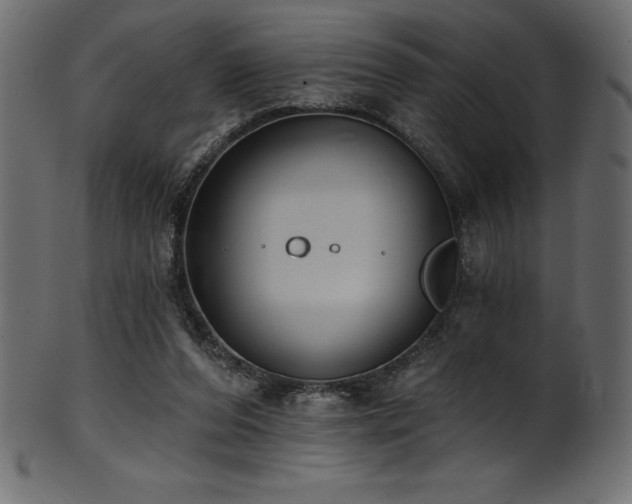 X0000102040208200807181520