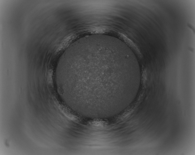 X0000102040209200807181520