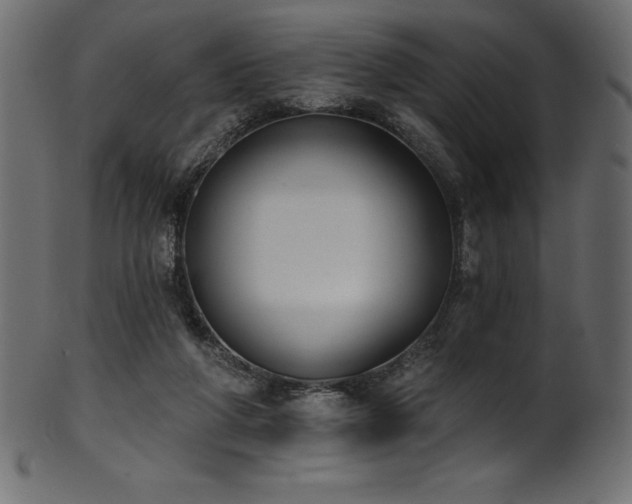 X0000102040210200807181520