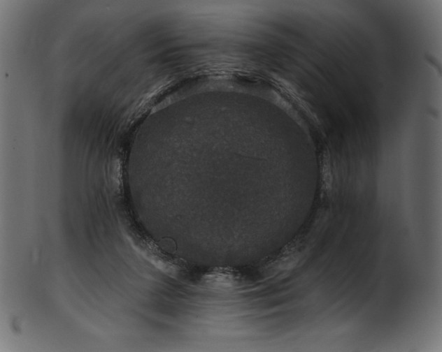 X0000102040211200807181520