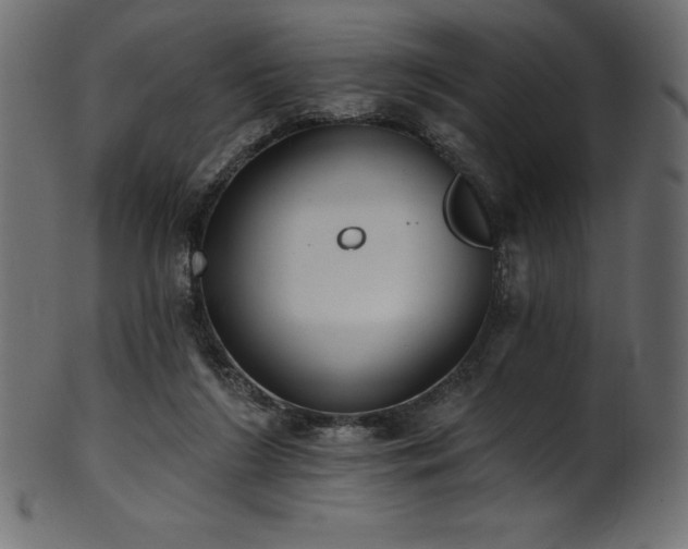 X0000102040212200807181520