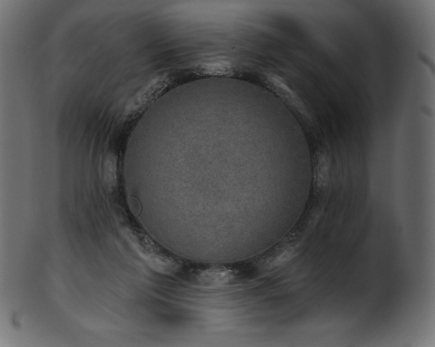 X0000102040213200807181520