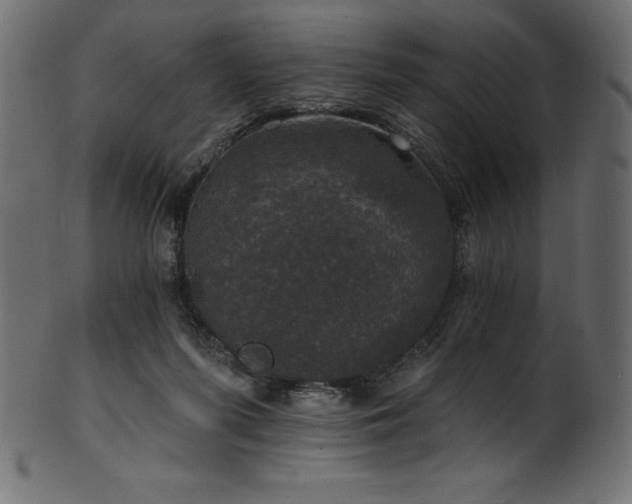 X0000102040215200807181520