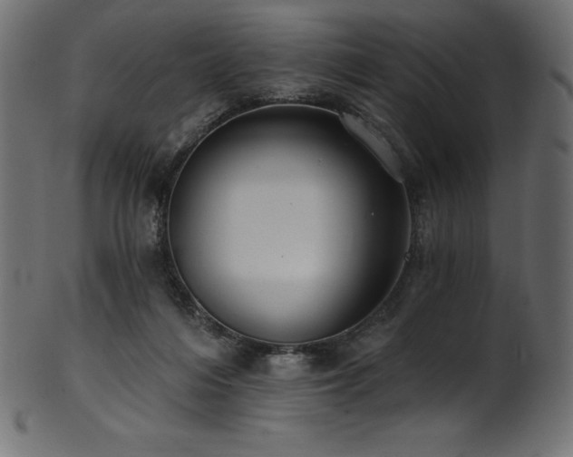 X0000102040216200807181520