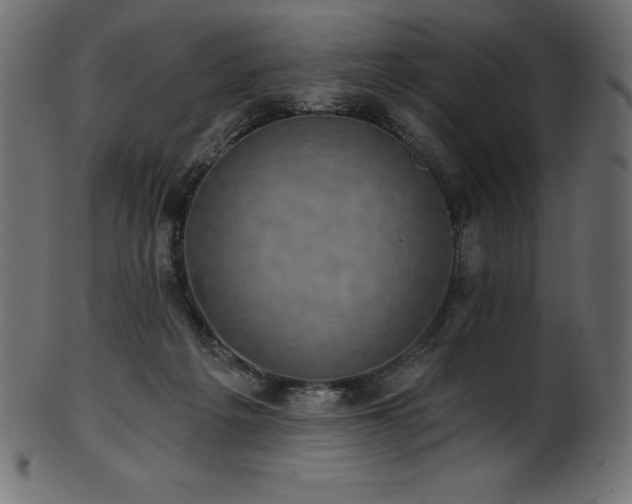 X0000102040217200807181520