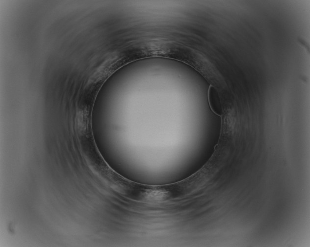 X0000102040218200807181520