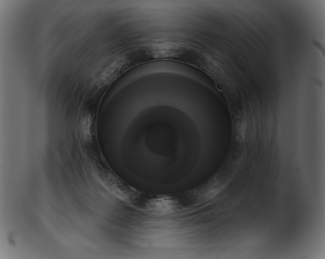 X0000102040219200807181520