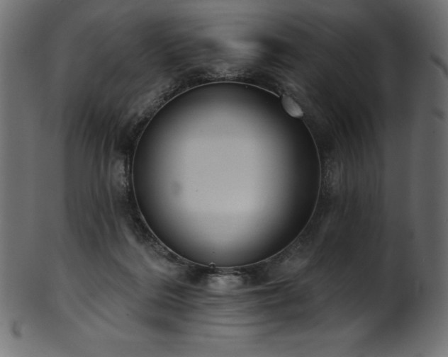 X0000102040220200807181520