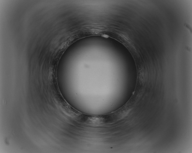 X0000102040221200807181520