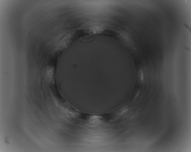 X0000102040222200807181520