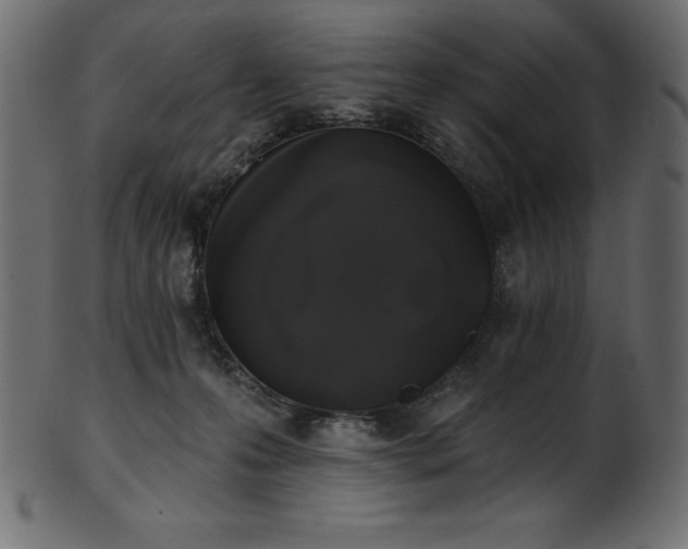 X0000102040223200807181520