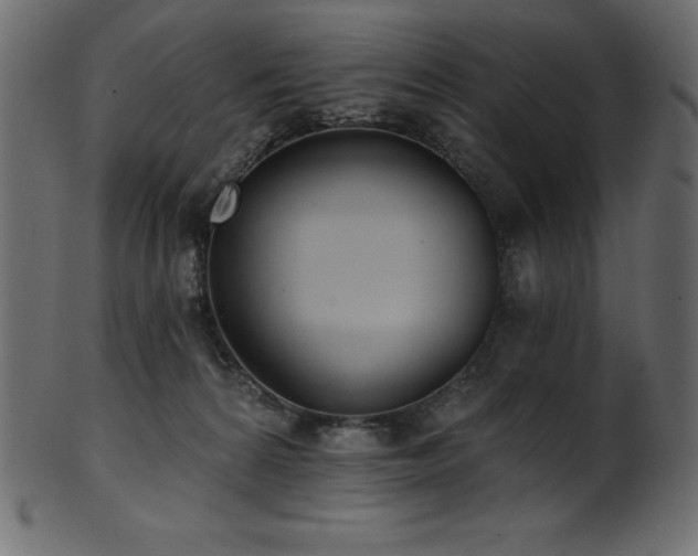 X0000102040224200807181520