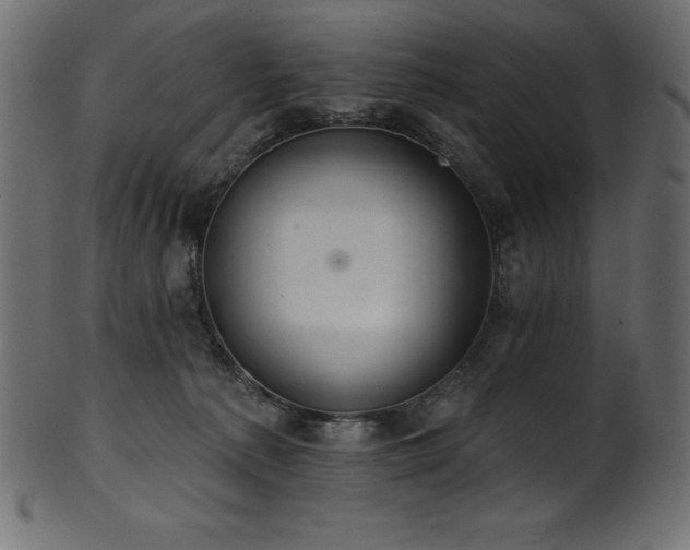 X0000102040225200807181519