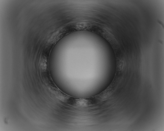 X0000102040226200807181519