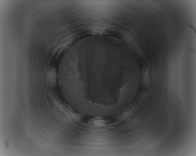 X0000102040228200807181519