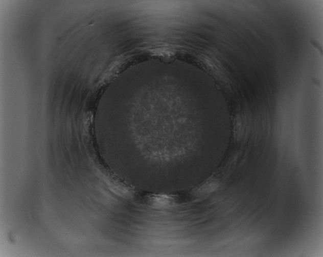 X0000102040229200807181519