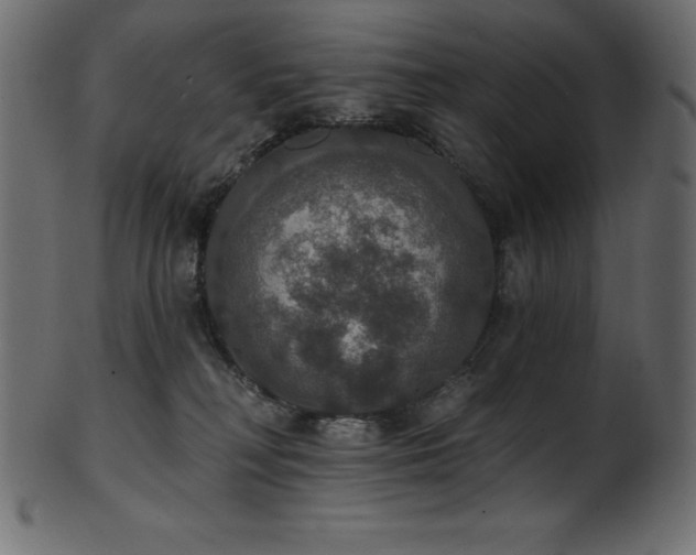 X0000102040230200807181519