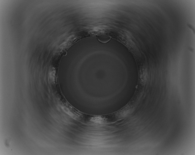 X0000102040231200807181519